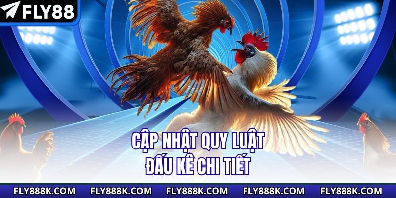 Cập nhật quy luật đấu kê chi tiết